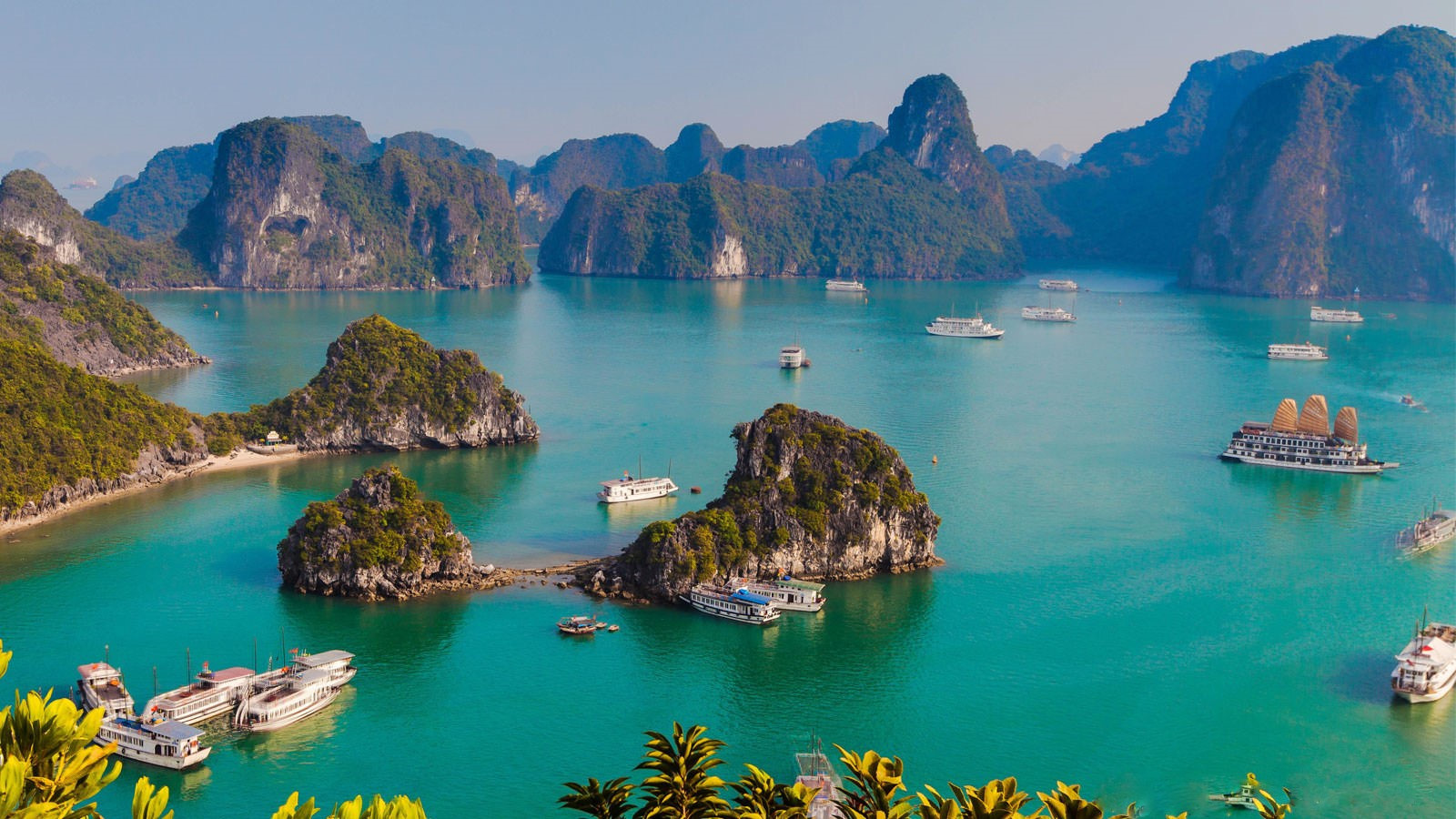 Hành Trình Phổ Biến