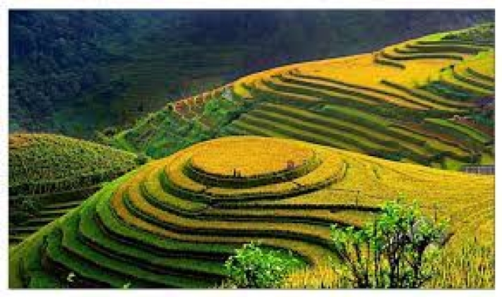 Thời tiết Việt Nam: Thông tin chung & Thời gian tốt nhất để tham quan   