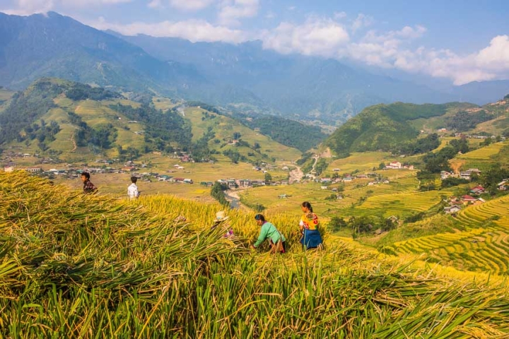 Where to go in Vietnam by month of the year